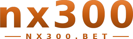 nx300 logo